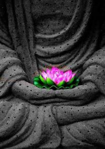 lotusbuddha